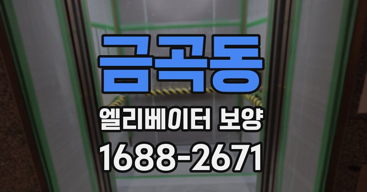금곡동 엘리베이터 보양