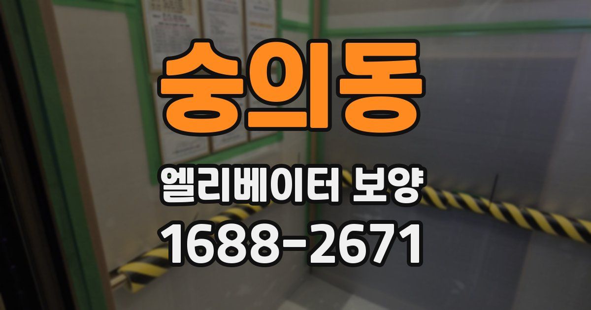 숭의동 엘리베이터 보양