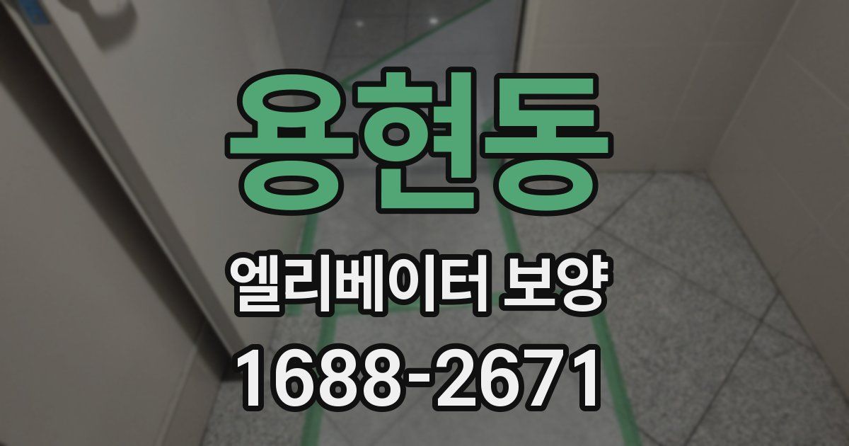 용현동 엘리베이터 보양