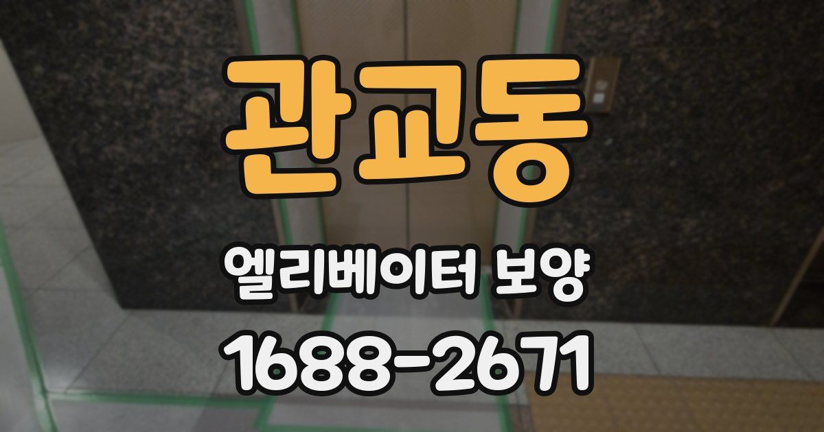 관교동 엘리베이터 보양