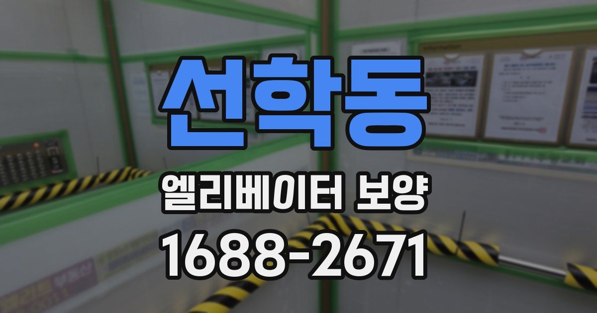 선학동 엘리베이터 보양