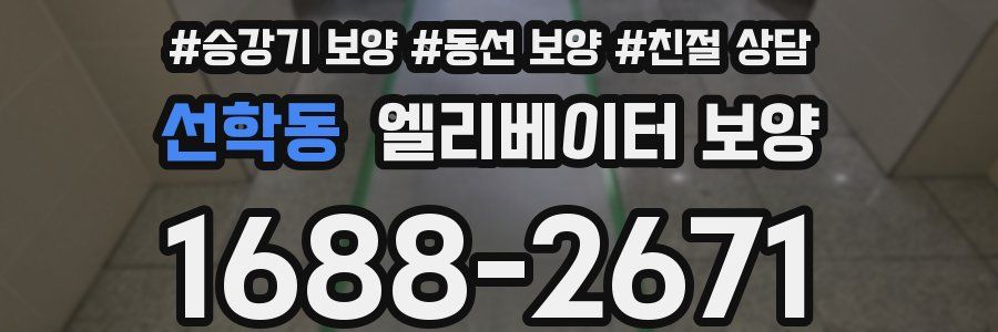 선학동 엘리베이터 보양