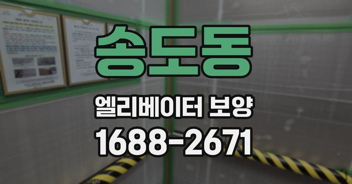 송도동 엘리베이터 보양