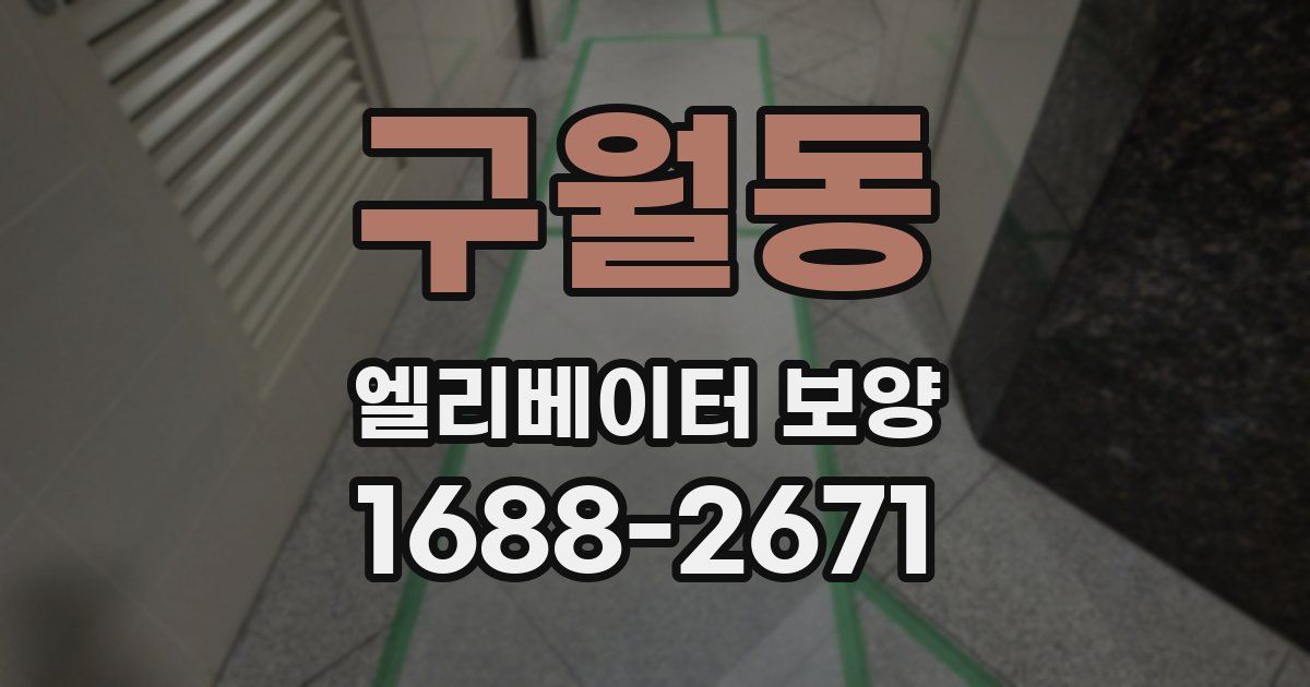 구월동 엘리베이터 보양
