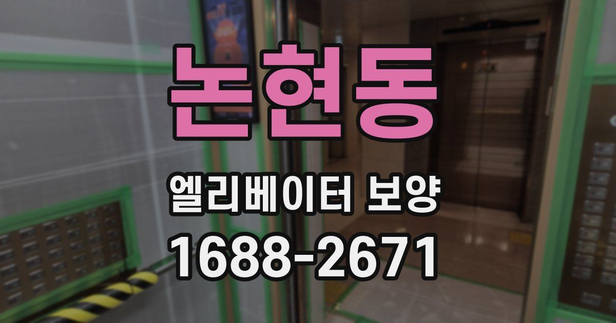 논현동 엘리베이터 보양