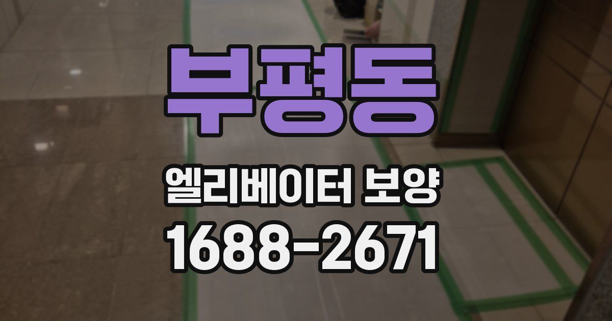 부평동 엘리베이터 보양