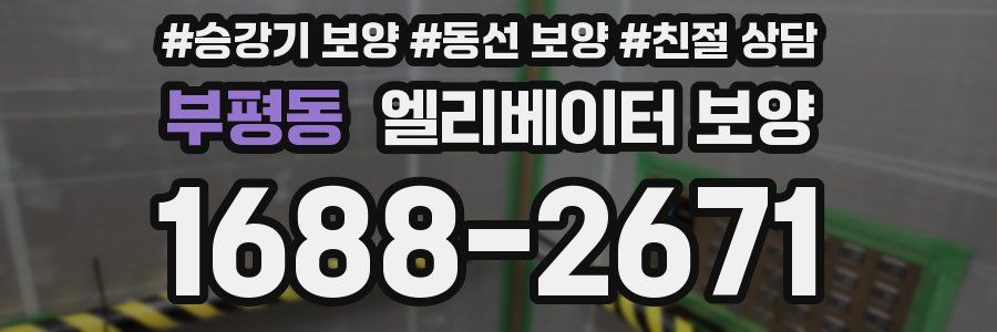 부평동 엘리베이터 보양