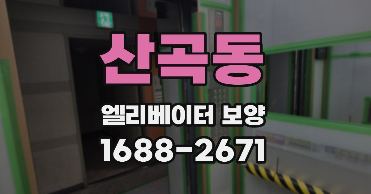 산곡동 엘리베이터 보양