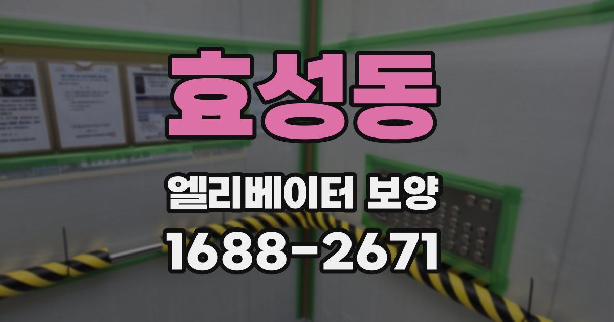 효성동 엘리베이터 보양