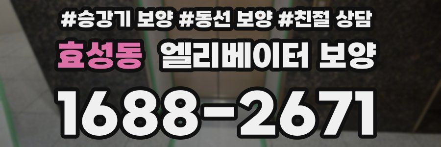 효성동 엘리베이터 보양