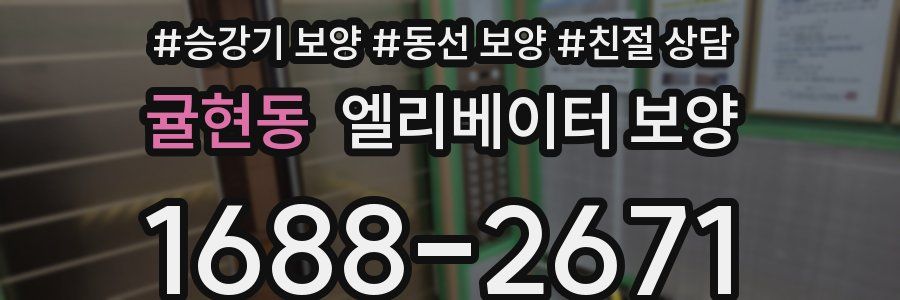 귤현동 엘리베이터 보양