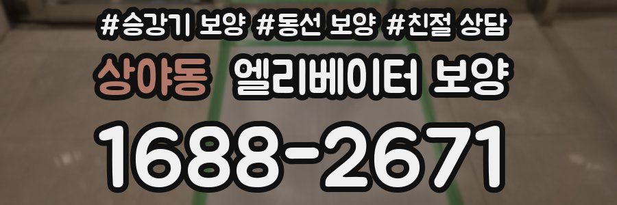 상야동 엘리베이터 보양
