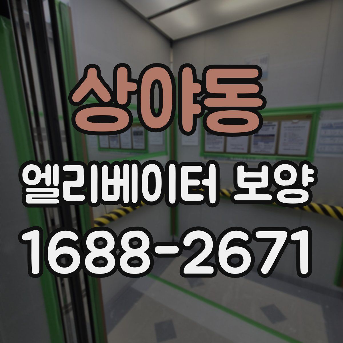 상야동 엘리베이터 보양
