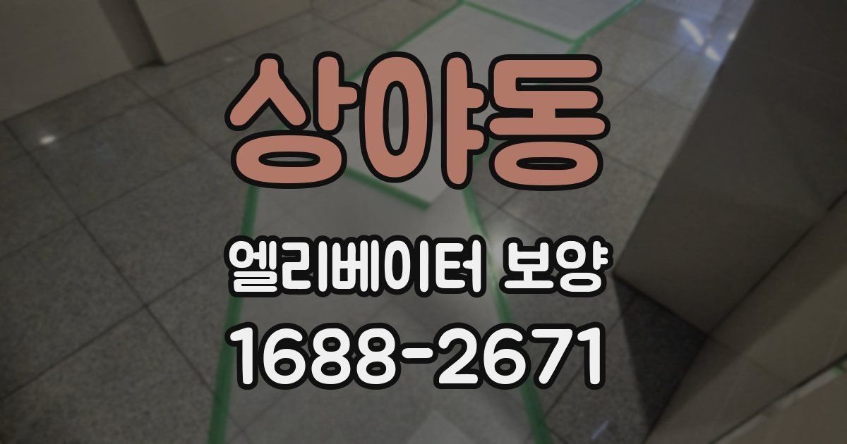 상야동 엘리베이터 보양