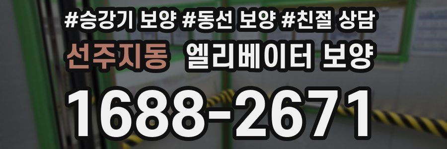 선주지동 엘리베이터 보양