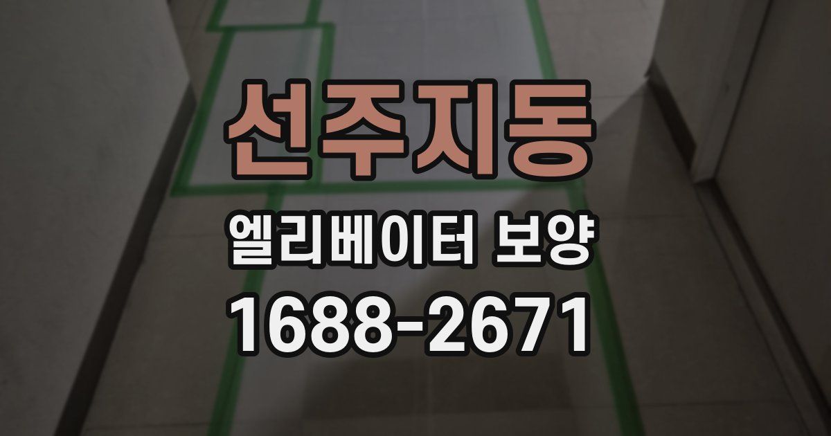 선주지동 엘리베이터 보양