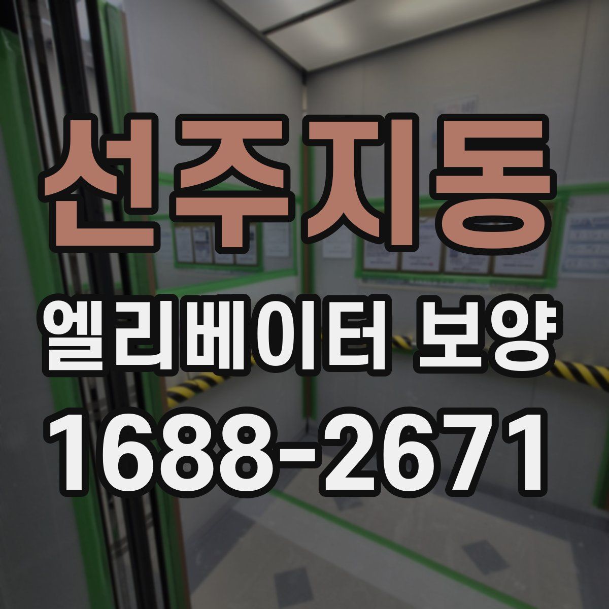 선주지동 엘리베이터 보양