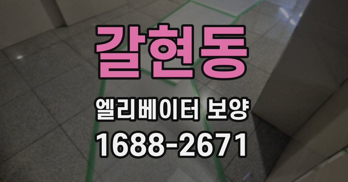 갈현동 엘리베이터 보양