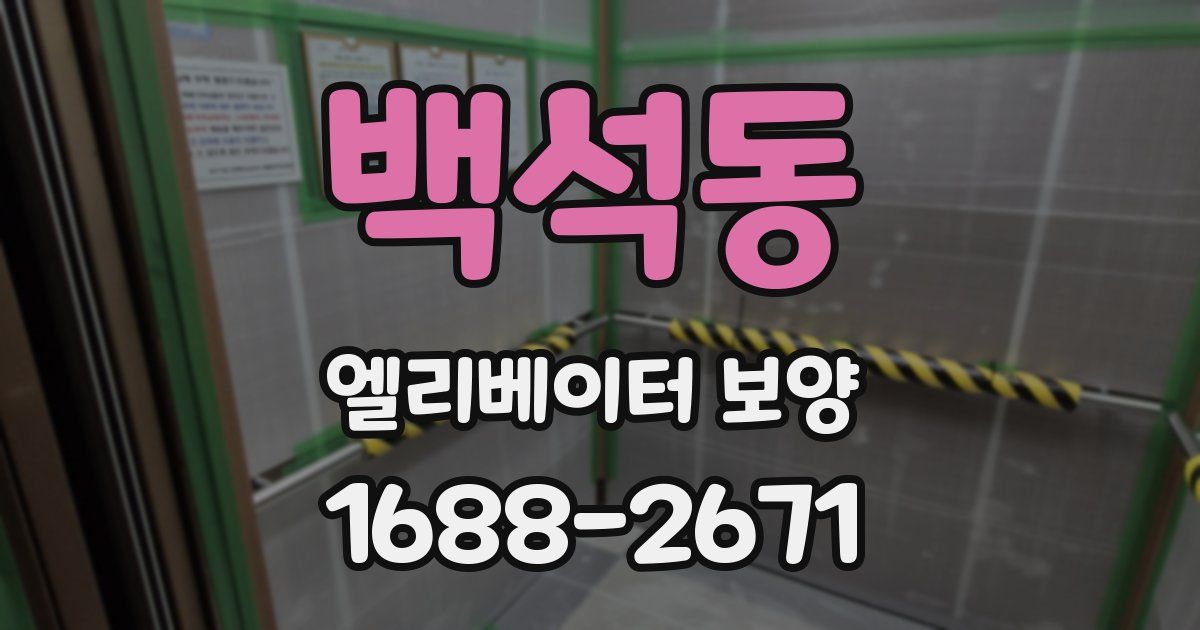 백석동 엘리베이터 보양