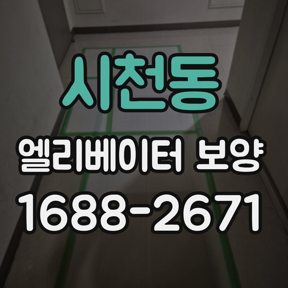 시천동 엘리베이터 보양