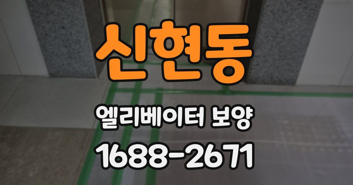 신현동 엘리베이터 보양