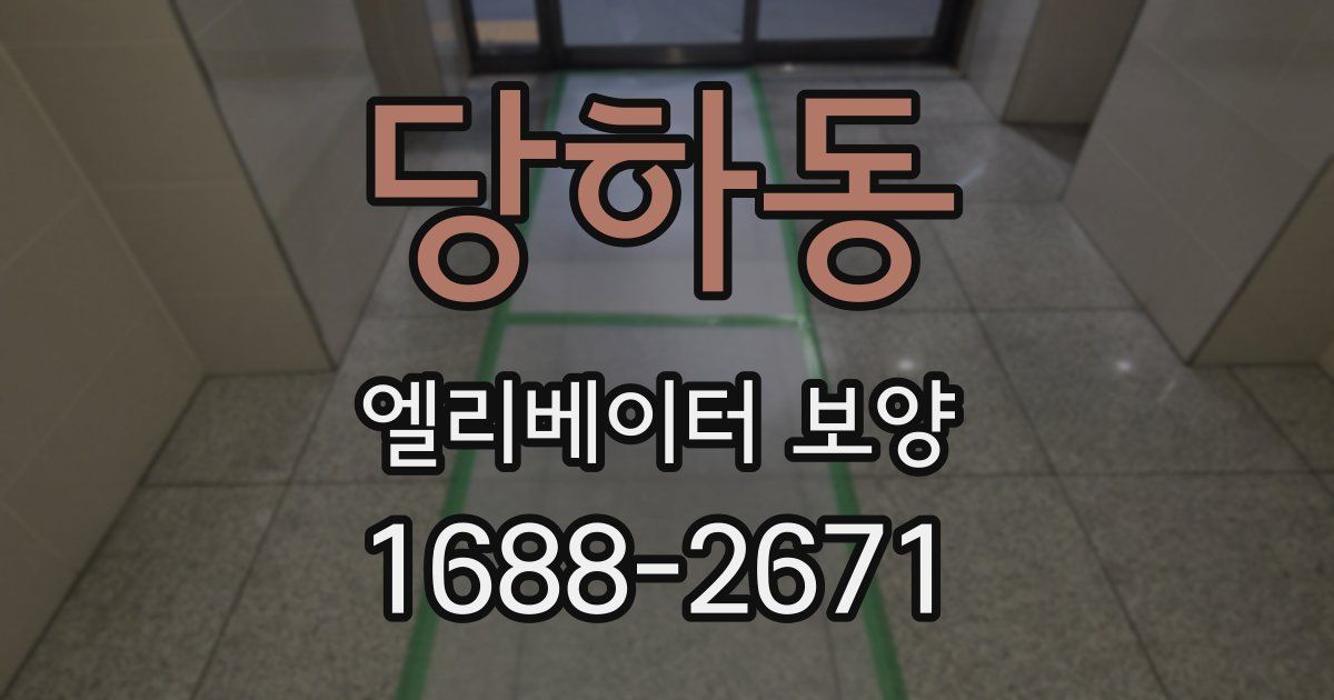당하동 엘리베이터 보양