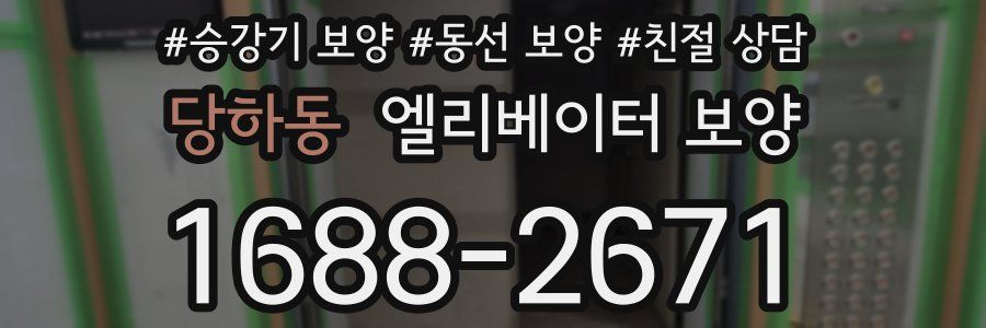 당하동 엘리베이터 보양