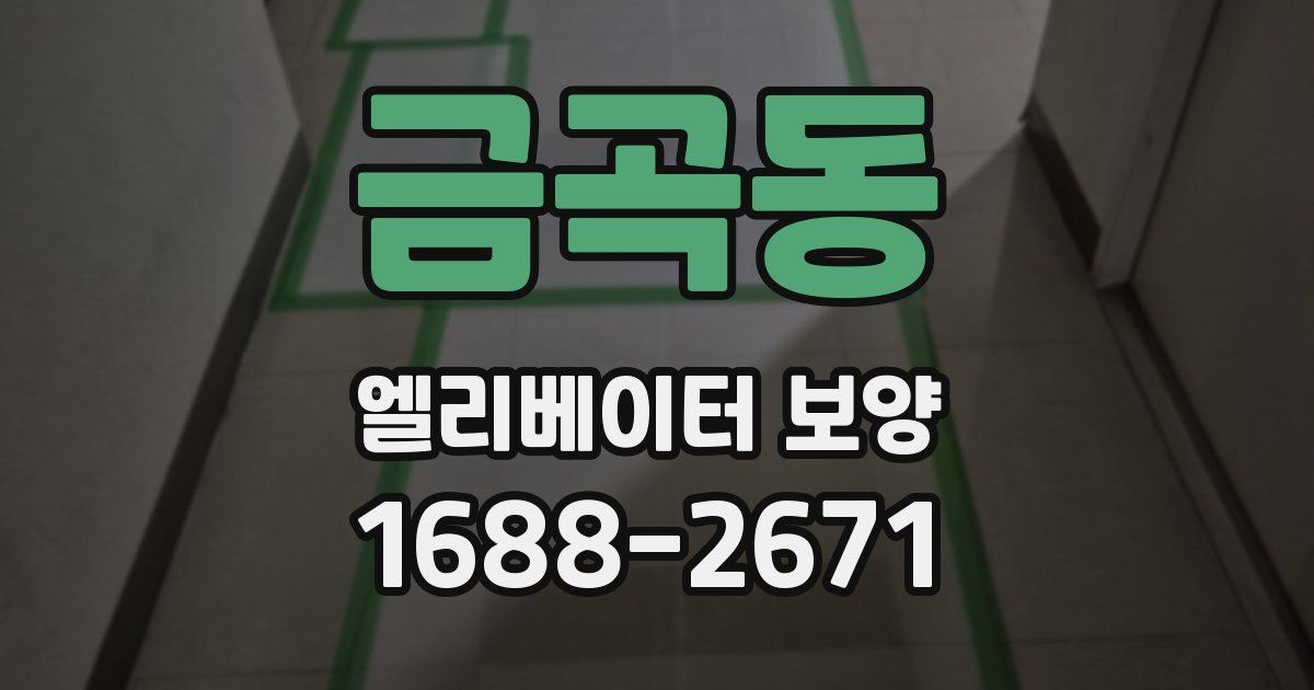 금곡동 엘리베이터 보양