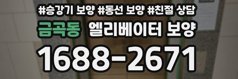 금곡동 엘리베이터 보양