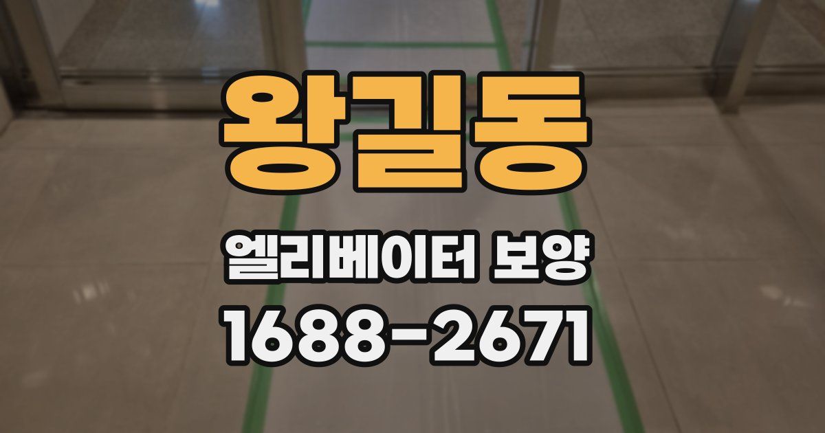 왕길동 엘리베이터 보양