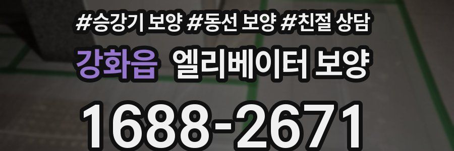 강화읍 엘리베이터 보양
