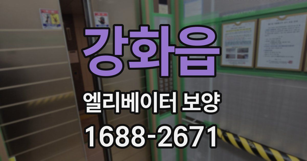 강화읍 엘리베이터 보양