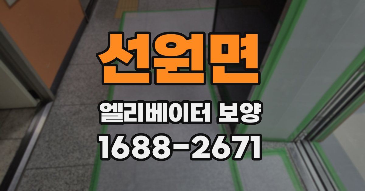 선원면 엘리베이터 보양