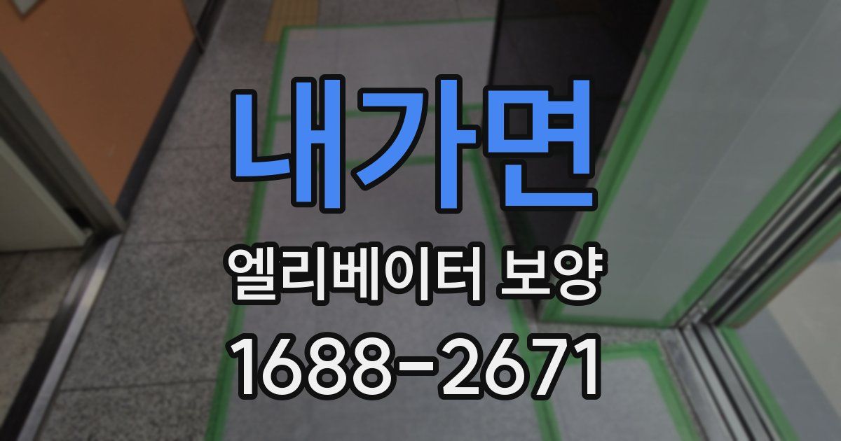 내가면 엘리베이터 보양