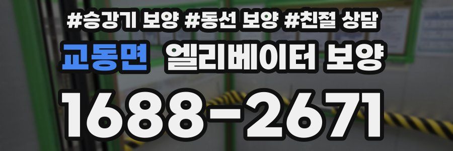 교동면 엘리베이터 보양