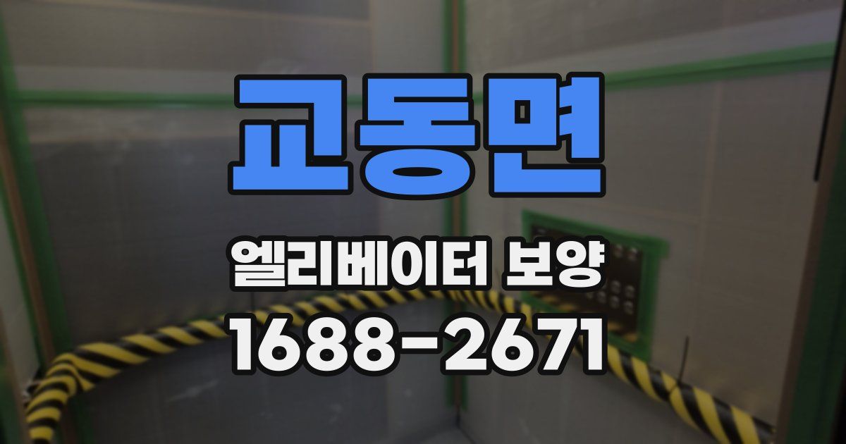 교동면 엘리베이터 보양