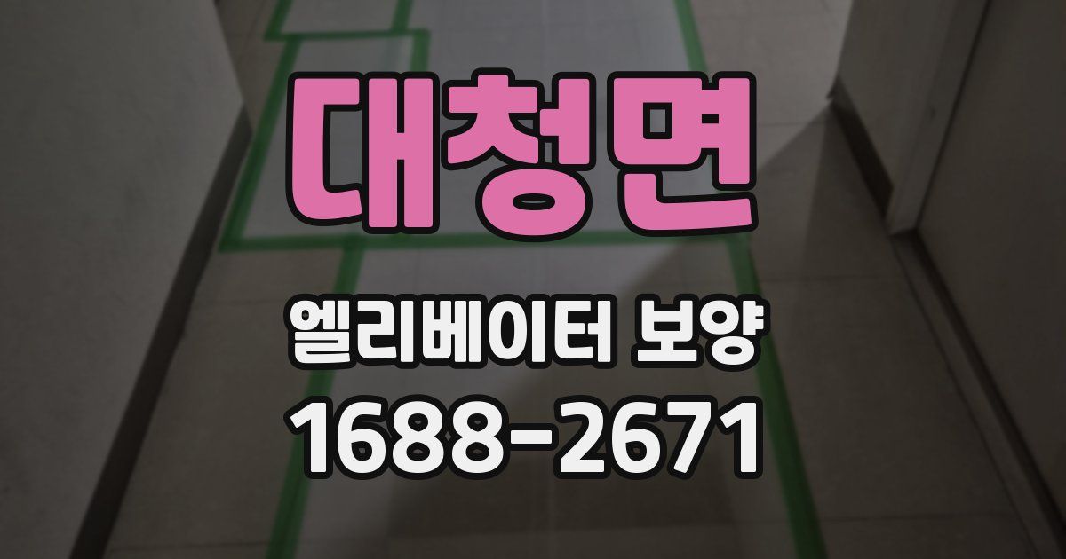 대청면 엘리베이터 보양