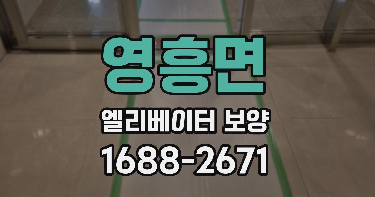 영흥면 엘리베이터 보양