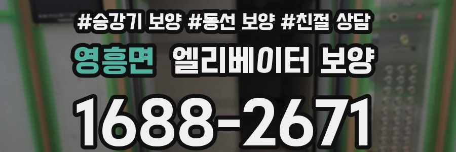 영흥면 엘리베이터 보양