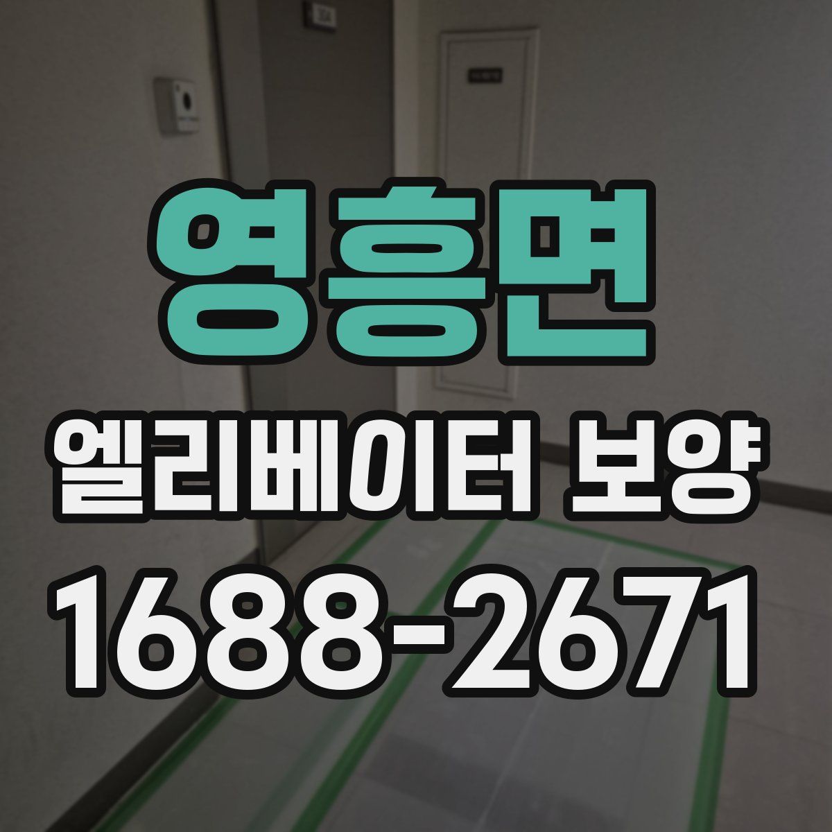 영흥면 엘리베이터 보양