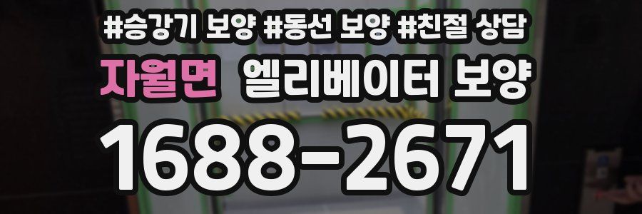 자월면 엘리베이터 보양