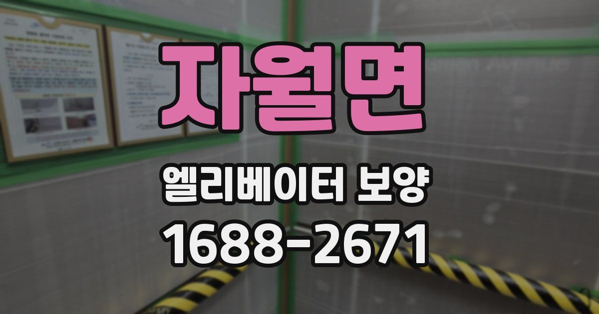 자월면 엘리베이터 보양