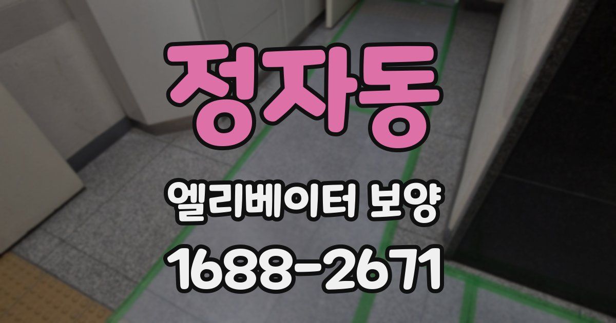 정자동 엘리베이터 보양