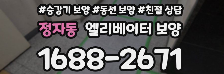 정자동 엘리베이터 보양