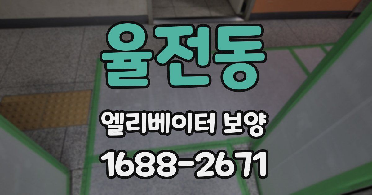 율전동 엘리베이터 보양
