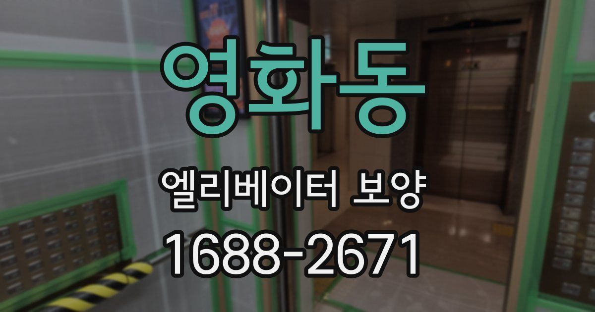영화동 엘리베이터 보양
