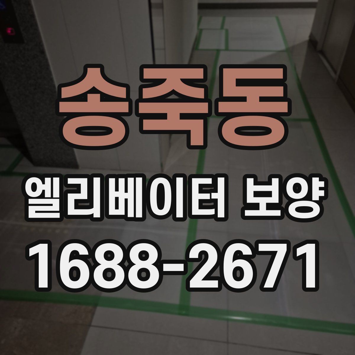 송죽동 엘리베이터 보양 업체 선택 전 확인할 점
