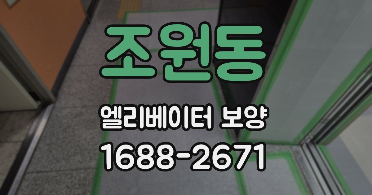 조원동 엘리베이터 보양