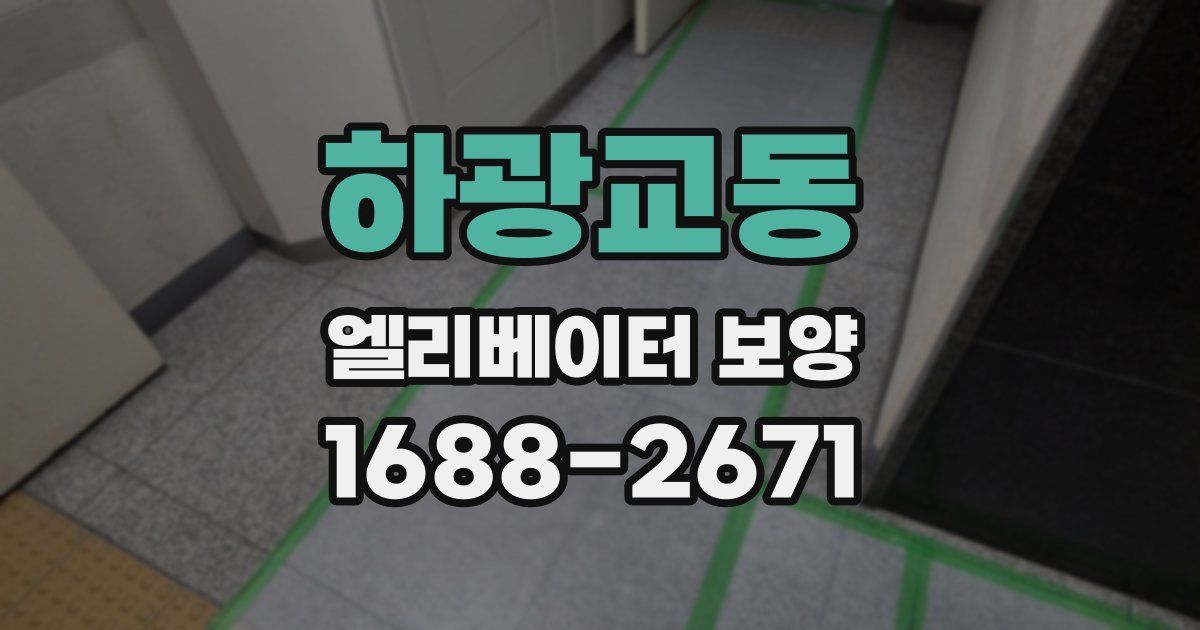 하광교동 엘리베이터 보양
