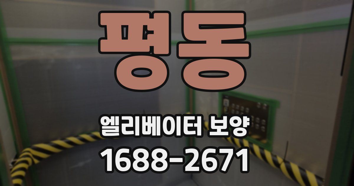 평동 엘리베이터 보양